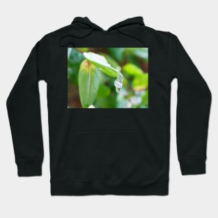 Let the rain kiss you Hoodie